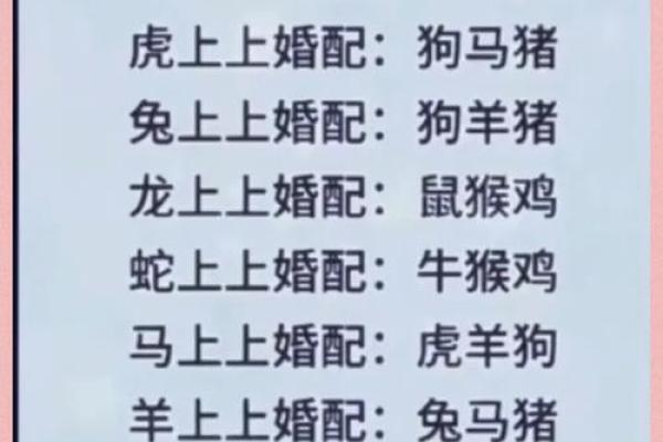 十二生肖配对表