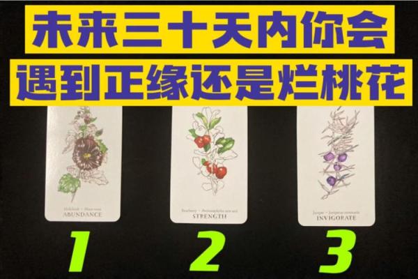 塔罗测试：12月会有什么发生？