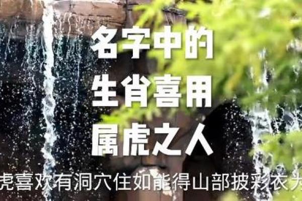 上午出生的属虎男孩适合起什么名，用什么字姓名