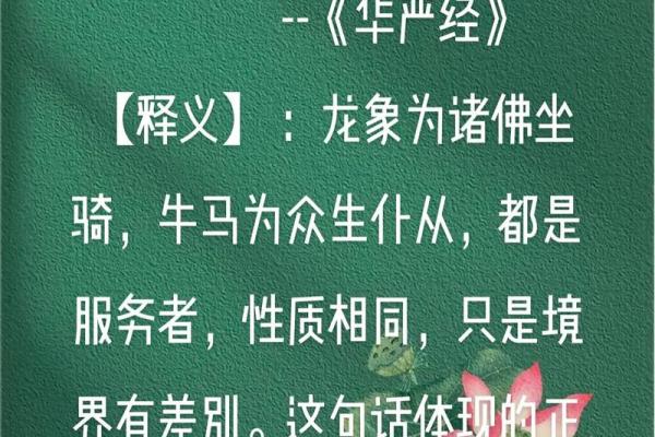 《华严经》577#小毛子遭难遇观音