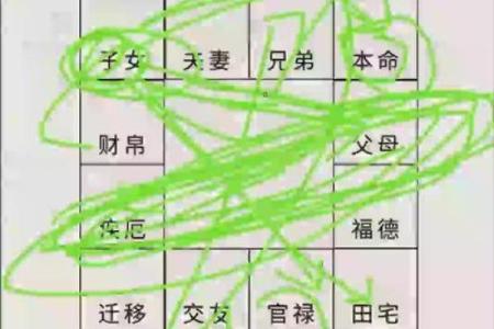 紫薇斗数化禄在夫妻宫