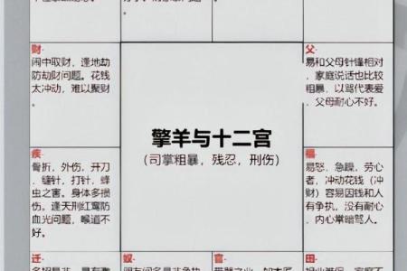 老鼠紫微斗数全书共几卷 老鼠 紫菀？