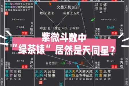 紫薇斗数中同度什么意思