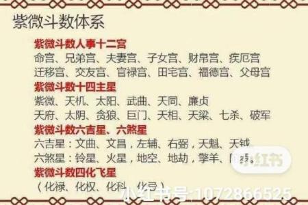 紫薇斗数右弼入命宫