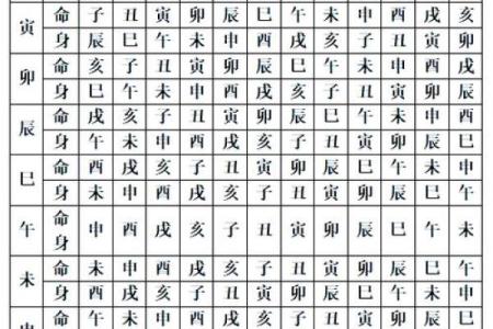 紫微斗数命盘解析：十二宫位