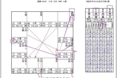 紫薇斗数星盘下载