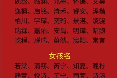 凌晨4点出生的属蛇男孩如何起名姓名