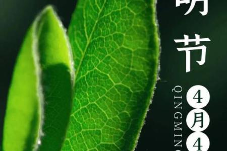 清明节前一天是什么节日 清明节又叫什么节-