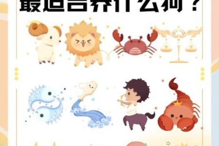十二星座金牛座适合养什么狗狗