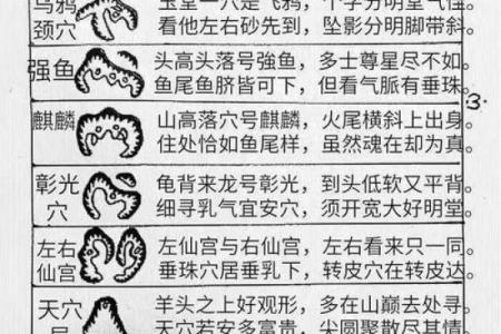 风水讲解四种寻龙的方法是什么