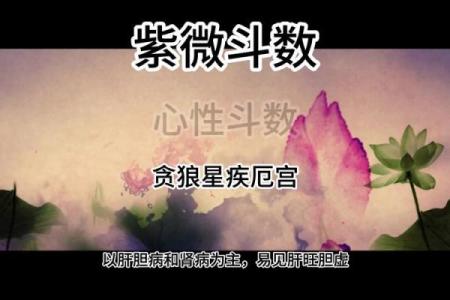 紫微斗数诸星落诸宫之：贪狼星福德宫详解