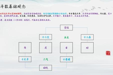 紫微斗数论女命之：男女命的异同
