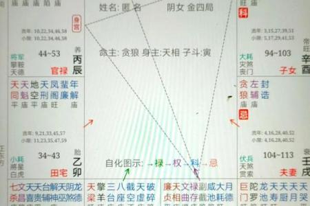 紫微斗数关于天魁天钺星的部分解析