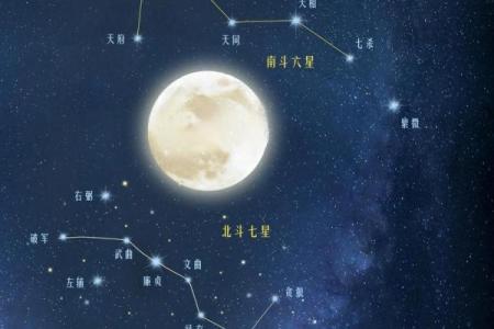 生长紫薇斗数
