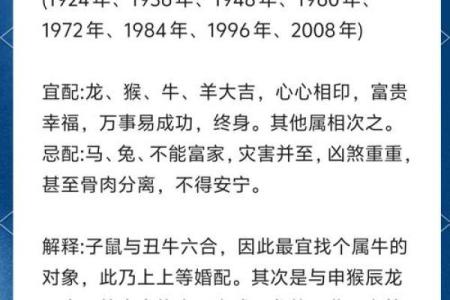 12生肖佳姻缘配对