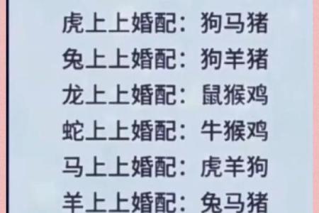 十二生肖配对表