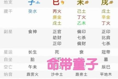 算命童子命 , 童子命的婚姻会离婚吗