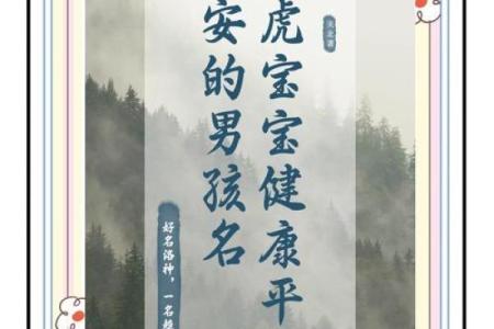 上午出生的属虎男孩适合起什么名，用什么字姓名