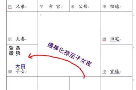 紫薇斗数对宫化入