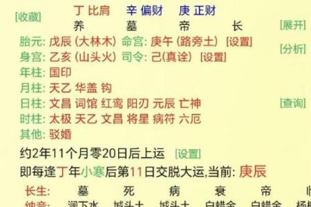 八字身弱行食神