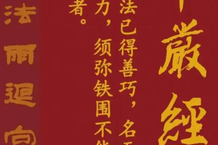 《华严经》577#小毛子遭难遇观音