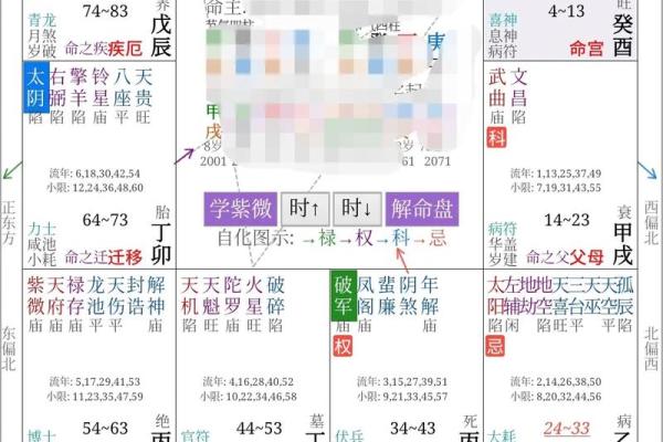 手机紫薇斗数app