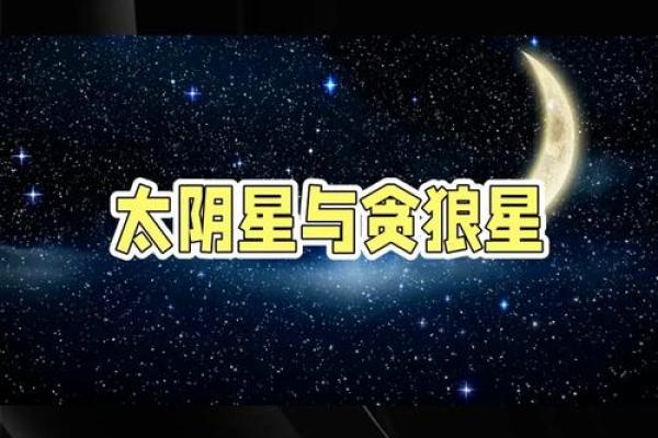 手机紫薇斗数app