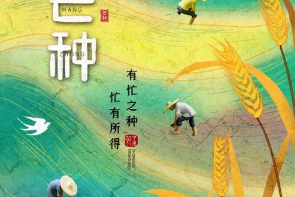 芒种节气绘画图片 芒种节气的故事及民俗