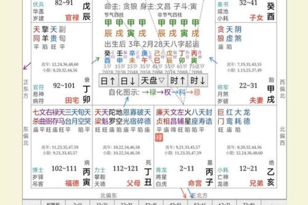 数术类古籍 飞星紫微斗数