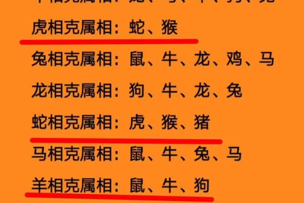 属兔的最佳生肖配对