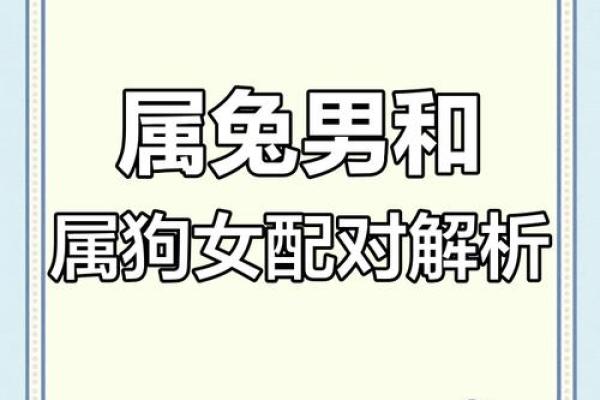 属兔的最佳生肖配对