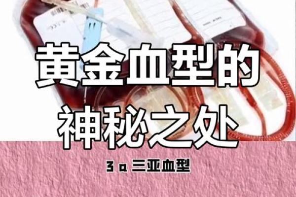 血型最多的是哪种 哪种血型人群最多