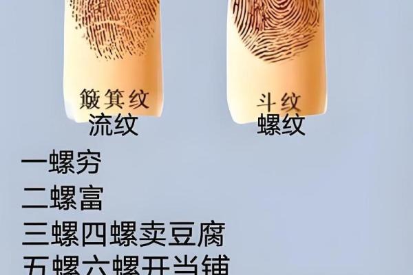 手指上的斗和簸箕代表什么 十个簸箕 簸箕和斗算命