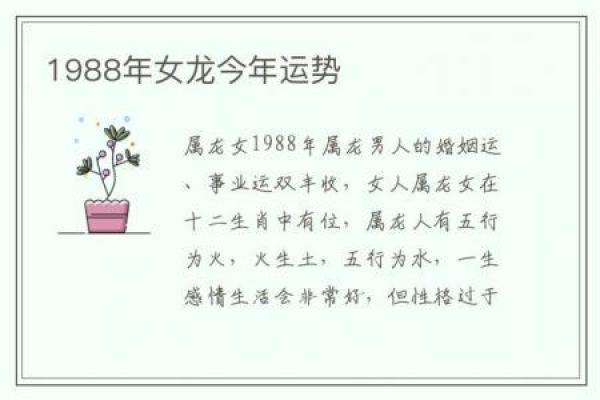 1988年属龙女的婚姻配对