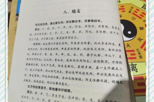 算命被说输阳气