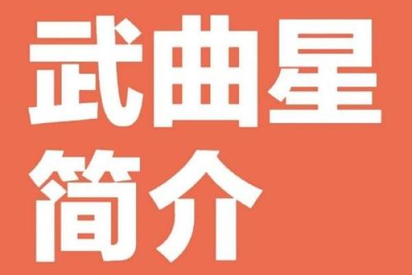 紫微斗数财政 紫微斗数里面的财星？