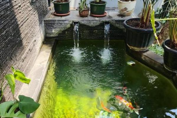 家庭鱼池风水 家庭鱼池风水摆放