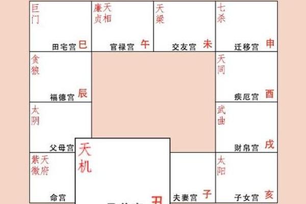 紫微斗数诸星落诸宫之：天机星子女宫详解