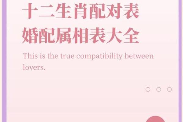 生肖配对 十二生肖最佳配对表格