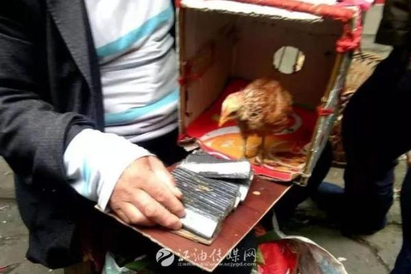 仔算命