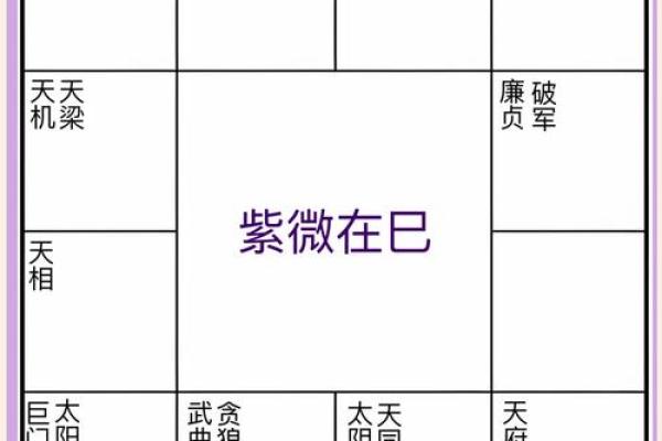 紫薇斗数文昌科