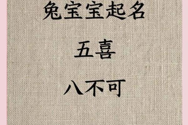 如何给9月份出生的属兔男孩取名字姓名