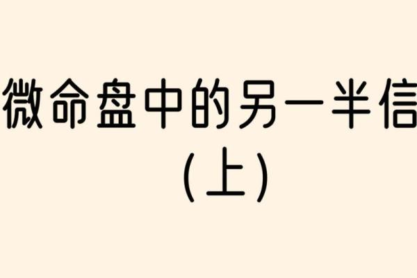 夫之子紫薇斗数