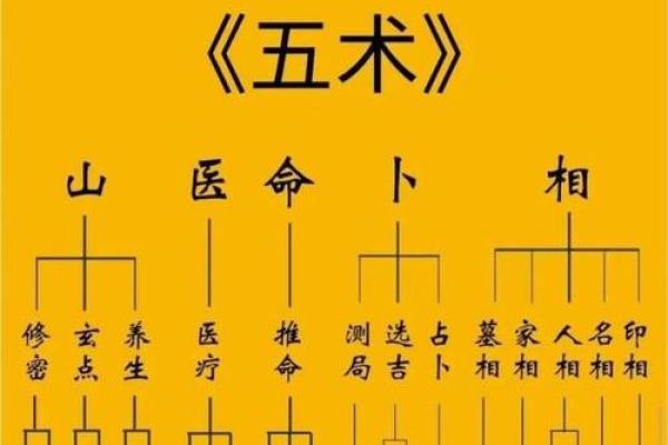 紫薇斗数太岁宫位