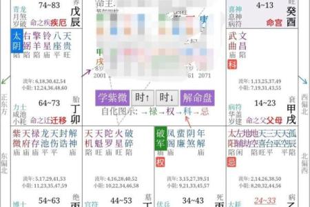 手机紫薇斗数app