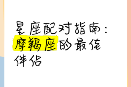 狮子座和摩羯座的配对指数