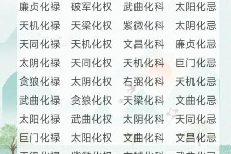 数术类古籍 飞星紫微斗数