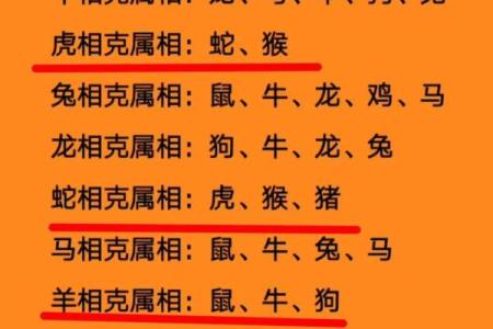 属兔的最佳生肖配对