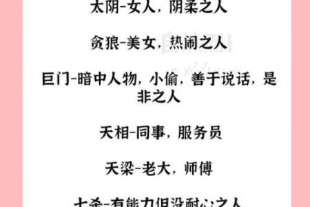 紫薇斗数星代表什么