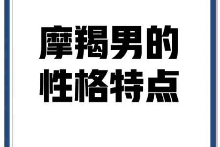 升星座排名，摩羯座揭秘及性格分析